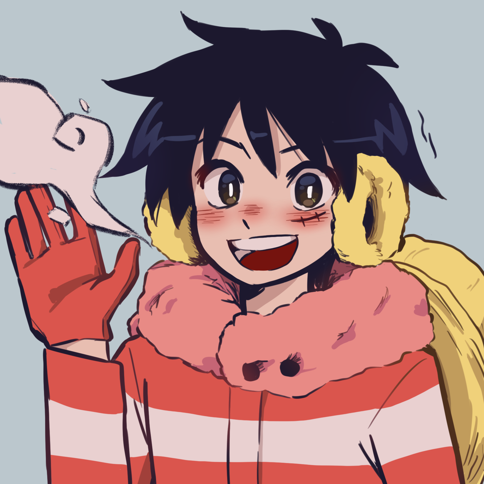 cold luffy