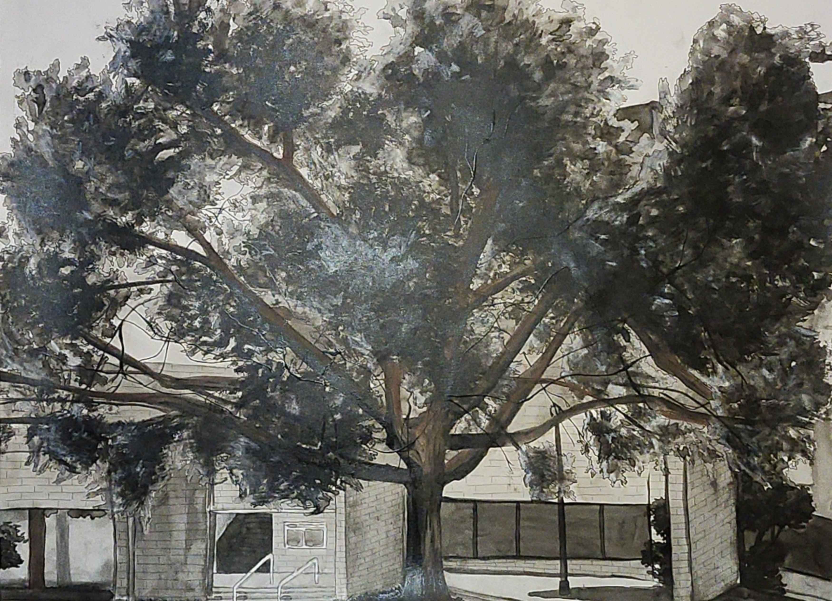 tree drawn with ink